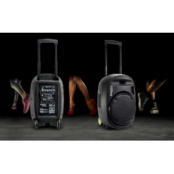 Mobilna kolumna Ibiza Sound PORT12UHF-BT moc 700W USB Bluetooth tuner FM
