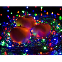 Lampki choinkowe 1000 LED 31V dekoracyjne na choinkę IP44 zewnętrzne 8 programów