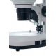 Dwuokularowy mikroskop Levenhuk 4ST powiększenie 20–40x zakres pracy 130 mm