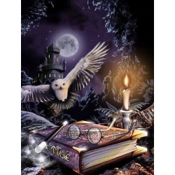 Haft diamentowy mozaika Diamond Painting zestaw wzór Sowa i Magia