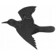 Kruk w locie na sznurku odstraszacz ptaków gołębi szpaki wiszący 59cm