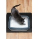Mata wycieraczka wodoodporna pod kuwetę dla kota pozwala utrzymać czystość