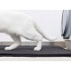 Mata wycieraczka wodoodporna pod kuwetę dla kota pozwala utrzymać czystość