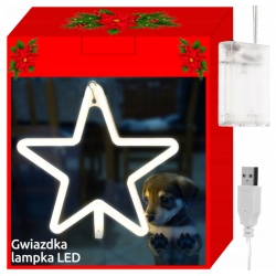 Gwiazda 100 LED wisząca lampki choinkowe na baterie USB lampka nocna