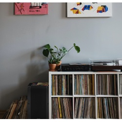 Kolumna pasywna Vonyx VSA12P 12 " na kółkach 800W dla DJ-ów do klubów