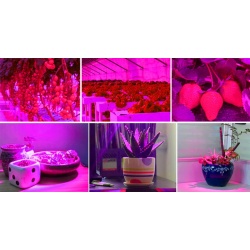 Lampa do wzrostu uprawy roślin panel 200 LED wspomaga fotosyntezę
