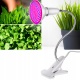 Lampa do wzrostu uprawy roślin panel 200 LED wspomaga fotosyntezę