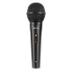 Głośnik mobilny Fenton 2x 10" FT210LED zestaw karaoke z Bluetooth 700W