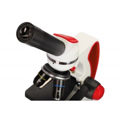 Mikroskop Discovery Pico oświetlenie LED precyzyjna regulacja ostrości powiększenie: 40–400x
