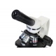 Mikroskop Discovery Atto Polar oświetlenie LED powiększenie 40-1000x z książką