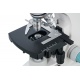 Trójokularowy mikroskop cyfrowy Levenhuk D900T powiększenie 40–1000x głowica trójokularowa