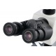Trójokularowy mikroskop cyfrowy Levenhuk MED D45T LCD kamera cyfrowa LCD 5 Mpix kondensor kontrastowo-fazowy