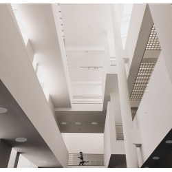 Głośnik sufitowy 2-drożny 80W 6,5" aluminiowy CSSG6 biała maskownica