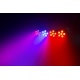 Efekt świetlny DJ Bank 244 RGBW z 24x 4W LED pilot Beamz