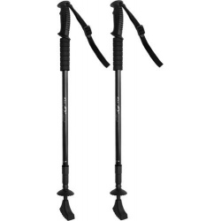 Składane kije trekingowe kijki do nordic walking 2szt + 4 końcówki