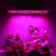 Lampa do wzrostu uprawy roślin panel 225 LED wspomaga fotosyntezę