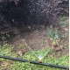 Kurtyna wodna do ogrodu zraszacz roślin mgiełka 10m nawadnianie