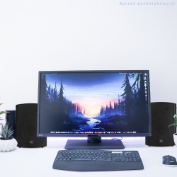Aktywny zestaw głośników do kawiarni lokalu 2szt DS50AB Bluetooth 100W