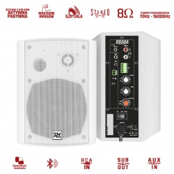 Aktywny zestaw głośników do kawiarni lokalu 2szt DS50AB Bluetooth 100W