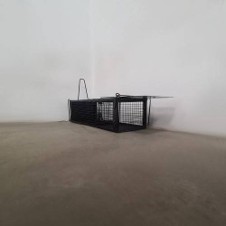 Automatyczna pułapka na gryzonie szczury kuny łaski norki żywołapka