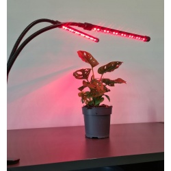 Lampa do wzrostu uprawy roślin 2x 20 LED wspomaga fotosyntezę