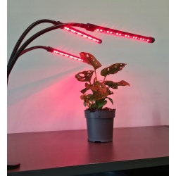 Lampa do wzrostu uprawy roślin 3x 20 LED wspomaga fotosyntezę