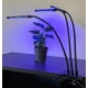 Lampa do wzrostu uprawy roślin 3x 20 LED wspomaga fotosyntezę