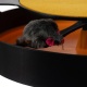 Zabawka dla kota okrągła biegająca myszka kółko z myszą drapak