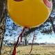 Odstraszacz ptaków do płoszenia szpaków mew balon