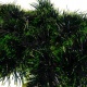 Łańcuch choinkowy girlanda 6m na choinka choinkę Świąteczna choinkowa 15cm