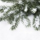 Sztuczny śnieg sypki ozdobny dekoracyjny na Święta do dekoracji drobny 105g