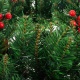 Wianek na drzwi stroik świąteczny wieniec dekoracyjny ozdoba 60cm gęsty