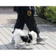 Smycz automatyczna dla psa do 50kg blokada 8 metrów długa