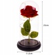 Róża Wieczna w Szkle Prezent LED Świecąca Pudełko lampa dekoracyjna