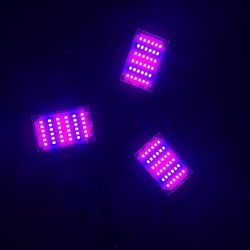Lampa do Wzrostu Uprawy Roślin Panel LED Żarówka