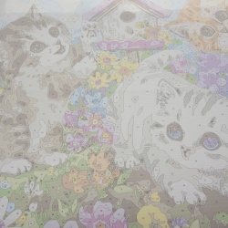 Malowanie po Numerach Obraz kotki 40x50 na Ramie DIY do Malowania