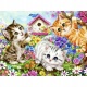 Malowanie po Numerach Obraz kotki 40x50 na Ramie DIY do Malowania