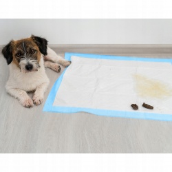Podkład higieniczny 60x60cm 50 sztuk podkłady higieniczne dla Psa worki