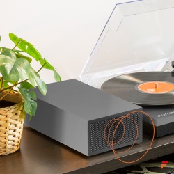 Gramofon z głośnikami RP165G Bluetooth RCA klocki szary