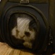 Transporter dla psa kota torba na ramię kojec mocny składany