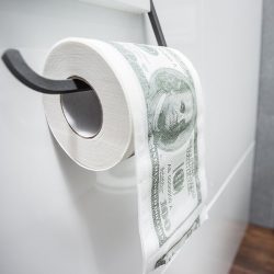 Papier toaletowy Dolar XL długi miękki 100 dolarów na parapetówkę