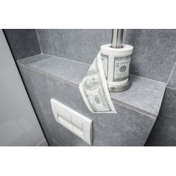 Papier toaletowy Dolar XL długi miękki 100 dolarów NA PREZNET