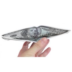 Elegancki dolarowy portfel 100 dolarów dla milionera