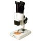 Stereoskopowy mikroskop Levenhuk 2ST 40-krotne powiększenie