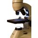 Optyczny mikroskop Levenhuk z metalowym korpusem duże powiększenie 5 kolorów do wyboru