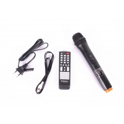 Mobilna kolumna z LED Ibiza STANDUP-DJ-MKII akumulator o dużej pojemności