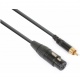 Kabel sygnałowy XLR (f) - RCA (m) PD Connex długość 15 cm