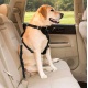 Pasy bezpieczeństwa do przypięcia pieska dla Psa elastyczna smycz do samochodu