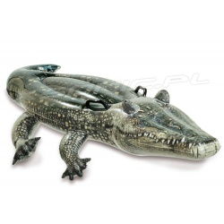 Dmuchany aligator do pływania 170 x 86 cm krokodyl INTEX 57551