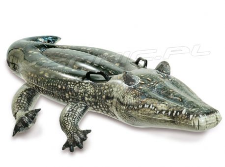 Dmuchany aligator do pływania 170 x 86 cm realistyczny krokodyl INTEX 57551